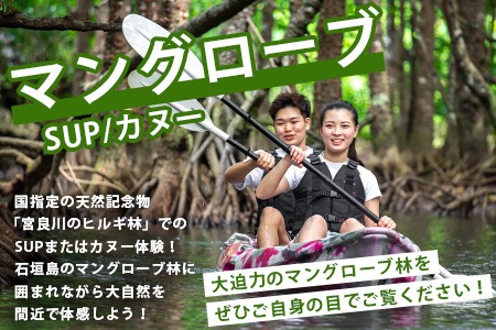 石垣島の自然を満喫！石垣島1日アクティビティ (利用券 1名様分) NS-2