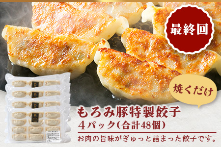 定期便 3回配送 もろみ豚 お惣菜定期便 【 沖縄 石垣 3ヵ月 ハンバーグ メンチカツ 餃子 肉 惣菜 総菜 頒布会 】 AH-12-1