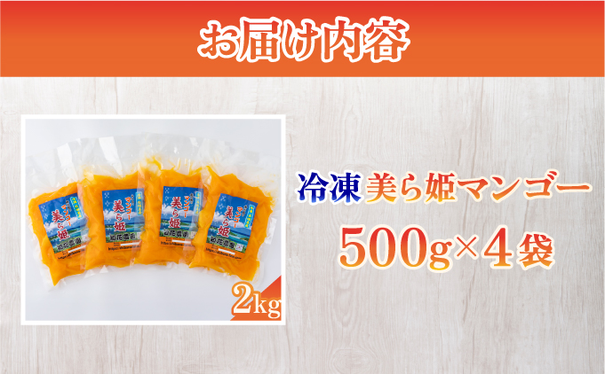 冷凍美ら姫マンゴー 2kg（500g×4袋）CB-4