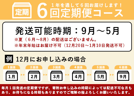 ▼【６回定期便】石垣島産 野菜BOX ≪定番・旬の野菜 ６~８種類≫（1箱×6回）季節の野菜パワーをあなたに！！｜野菜セット おまかせセット 旬 季節のお野菜 旬の野菜セット 詰め合わせ 定期便 ６回 定番野菜 島野菜 沖縄県 石垣市 石垣島 石垣 CK-3 【６回定期便】