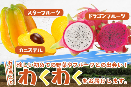 沖縄県 石垣島の野菜・フルーツBOX 1箱 ≪野菜4～5種類、フルーツ1~2種類≫ じょーとーまーさん(とても美味しい) 石垣島の野菜とフルーツの詰め合わせセットをお楽しみください！！CK-4 沖縄県 石垣島の野菜・フルーツBOX 1箱