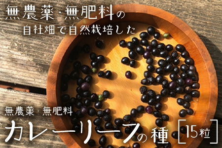 カレーリーフの種　15粒【 沖縄 石垣島 香辛料 種 無農薬 無肥料 】CS-4