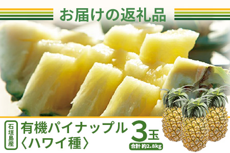 【予約受付】石垣島産 有機パイナップル・ハワイ種 3玉（約2.8kg前後)〈常温〉《7月上旬～順次発送予定》｜パイナップル パインアップル 石垣島パイン フルーツ 果物 くだもの 南国フルーツ 国産パイン　E-39