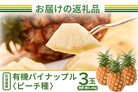 【予約受付】石垣島産　有機パイナップル・ピーチ種 3玉（約2.4kg前後）〈常温〉《６月上旬～順次発送予定》｜パイナップル パインアップル 石垣島パイン フルーツ 果物 くだもの 南国フルーツ 国産パイン　E-40