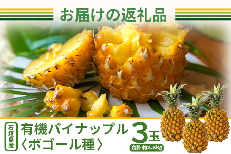 【予約受付】石垣島産　有機パイナップル・ボゴール種 3玉（約2.8kg前後）〈常温〉《６月上旬～順次発送予定》｜パイナップル パインアップル 石垣島パイン フルーツ 果物 くだもの 南国フルーツ 国産パイン　E-41