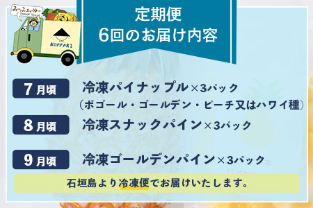 石垣島冷凍パイナップル3回定期便 EF-11-1