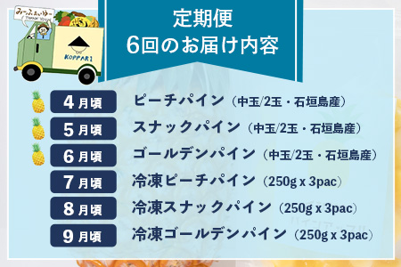 石垣島産パイナップル６回定期便｜青果３回 冷凍３回 沖縄県 石垣市 果物 果物 南国フルーツ パイン KP-8-1