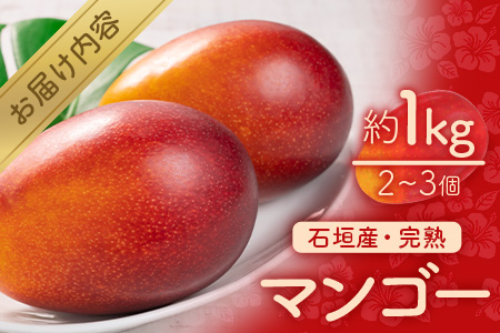 【予約受付】石垣島産　完熟マンゴー１ｋｇ（アーウィン種） 《2025年6月中旬から7月下旬順次発送》｜ ふるさと納税 マンゴー フルーツ 沖縄県 石垣市 FF-1