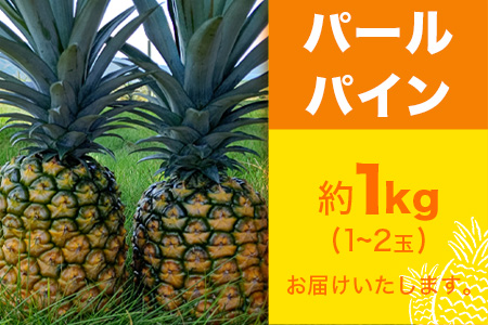 【先行予約】パールパイン1ｋｇ（1～2玉）お勧め♪川平パイン《2026年7月～8月頃順次発送》KN-2