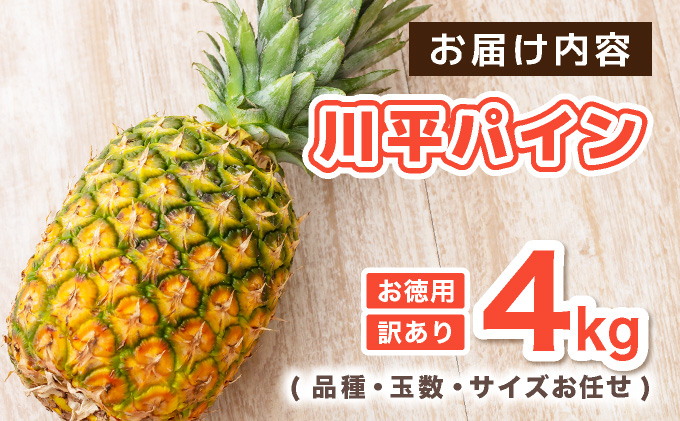 【2026年7月以降順次発送】川平パイン お徳用訳あり4kg ( 品種・玉数・サイズお任せ ) KN-6