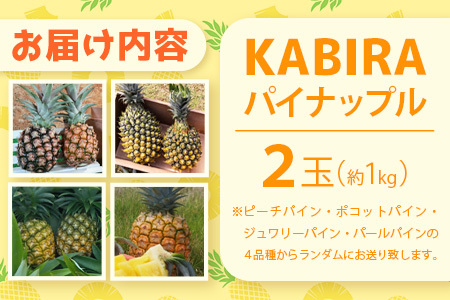 【予約受付】【KABIRAパイナップル2玉1kg以上】♪品種は届いてのお楽しみ♪《2025年5月以降順次発送》MF-1
