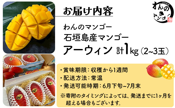 ＜わんのマンゴー＞石垣島産マンゴー【アーウィン】 合計1kg NA-03