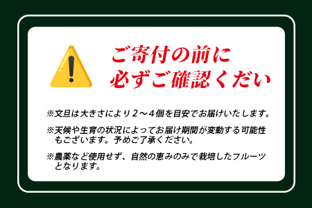 文旦（２～４個）農薬を使わず、森のような畑で栽培する特別な果物 ＜10月～3月順次発送＞OI-19-2
