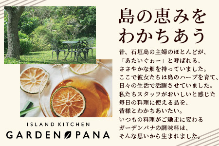 チャンプルの素　60g　袋入×2袋【 沖縄県 石垣市 石垣島 調味料 万能 石垣島産 】PN-5