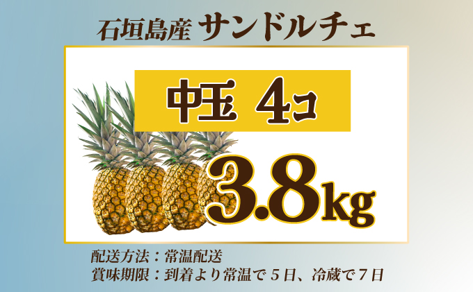 【先行予約】石垣島産 中玉サンドルチェ４玉 合計約3.8kg《2025年夏季 順次発送》SI-108