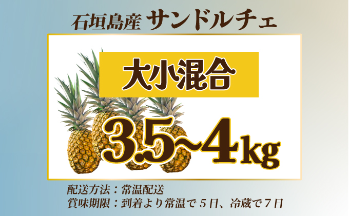 【先行予約】《2025年夏季 順次発送》【訳あり】石垣島産 サンドルチェパイン 約3.5～4kg【甘さ最高パインの「訳あり」の大小混合セット】SI-28