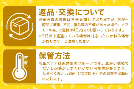 ＜先行予約＞石垣島の島バナナ、1～3房（約1,2～1,5kg前後入り）《4月中旬～順次発送》爽やか酸味のスッキリ系バナナ、少し冷やしてもイイんです！SI-33
