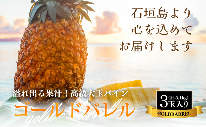 【先行予約】《2025年夏季 順次発送》ゴールドバレルパイン 大玉3個入り 計5.1kg　SI-40