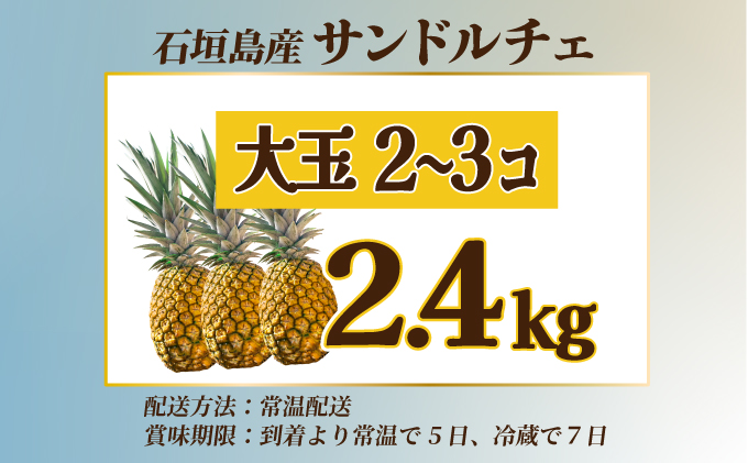 【先行予約】《2025年夏季 順次発送》サンドルチェ大玉2～3個 計2.4kg　SI-41
