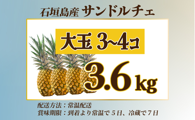 【先行予約】《2025年夏季 順次発送》サンドルチェ大玉3～４個 計3.6kg　SI-42