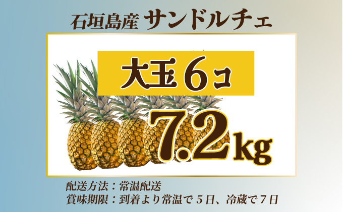 【先行予約】《2025年夏季 順次発送》サンドルチェ大玉6個 計7.2kg　SI-43