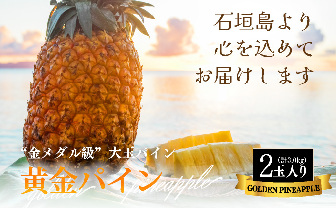 【先行予約】《2025年夏季 順次発送》黄金パイン大玉２個入 計3.0kg SI-51