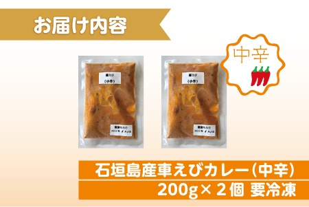 石垣島産車えびカレー（中辛）【冷凍 2食】石垣島のカレー専門店が作るご当地カレー　SK-12 石垣島産車えびカレー(中辛)2食