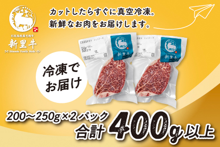 石垣島産 黒毛和牛 新里牛 厚切りヒレステーキ（訳あり・形がふぞろい・不定貫）（200g～250g×2）合計400g以上 ステーキ 焼肉 バーベキュー SZ-30