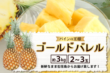 【2026年6月上旬より順次発送予定】最高級パイン ゴールドバレル2~3玉セット TD-1-1