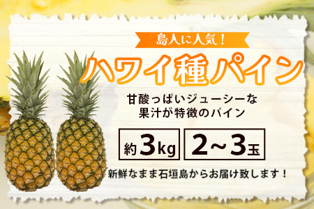 《2026年7月上旬頃より順次発送》【予約受付】石垣島産 ハワイ種パイン 2～3玉セット 約3㎏ TD-6