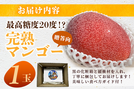《2025年6月下旬～7月下旬発送》【先行予約】最高糖度20度！？ 完熟の極！3Lサイズ 石垣島マンゴー 1玉入り約400g【贈答向け】【 産地直送 完熟マンゴー アーウィン マンゴー 沖縄 八重山 石垣島産 】TF-11-1