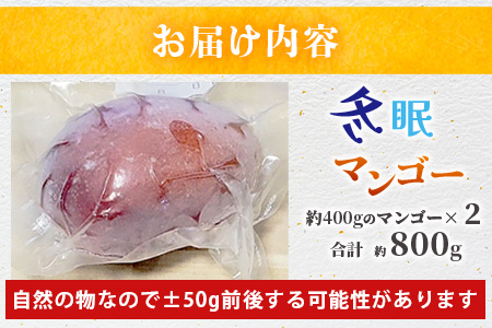 《2025年7月以降発送》最高糖度20度！？ 完熟！3Lサイズ 石垣島産冬眠マンゴー TF-17-1_R8