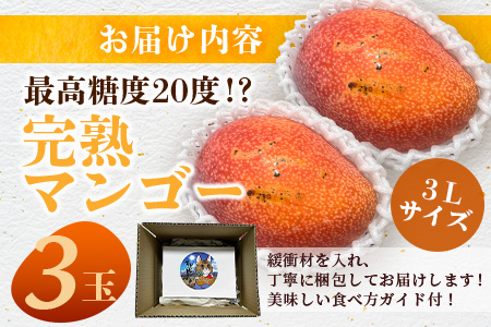 《2026年6月下旬～7月発送》【先行予約】最高糖度20度！？ 完熟！3Lサイズ 石垣島マンゴー 3玉入り【 沖縄 石垣島 石垣 八重山 マンゴー 完熟 期間限定 数量限定 沖縄県 石垣島産 】TF-28_R8