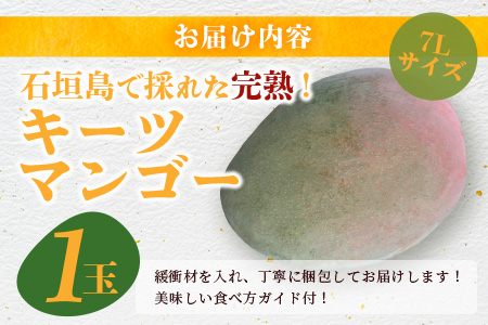《2025年7月下旬～8月下旬発送》【先行予約】最高糖度23度！？ 完熟！7Lサイズ 幻のキーツマンゴー【 沖縄 石垣島 石垣 八重山 マンゴーキーツマンゴー 期間限定 数量限定 沖縄県 石垣島産 完熟 】TF-3-1