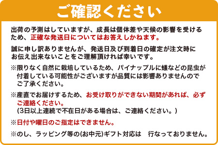 《2025年5月中旬以降順次発送》【先行予約】香りに溺れる！？ 完熟の極 てとの黄金パイン大玉約2kg【 沖縄 石垣 ゴールデン パイン パイナップル 完熟 セット フルーツ デザート 】 TF-31