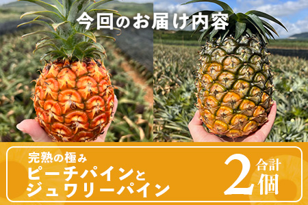 《2026年5月～7月順次発送》【先行予約】最高糖度20度以上！？ 完熟の極 石垣島産ピーチパインとジュワリーパインの食べ比べセット【 沖縄 石垣 ジュワリー ピーチ パイン パイナップル 完熟 セット フルーツ デザート 食べ比べ 】 TF-32_R8