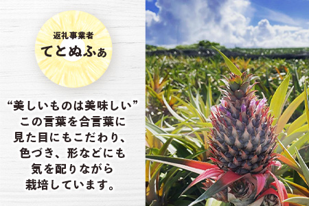  【マツコの知らない世界で絶賛！】《2025年4月以降発送》【先行予約】島のおいしいを贅沢に！大満足のパイナップル4種とマンゴー2種、シークワーサーの定期便【 沖縄 石垣 ピーチ ホワイトココ キーツ マンゴー パイン パイナップル シークワーサー 完熟 セット フルーツ デザート 食べ比べ 定期便 TV テレビ 紹介 マツコ 】 TF-40