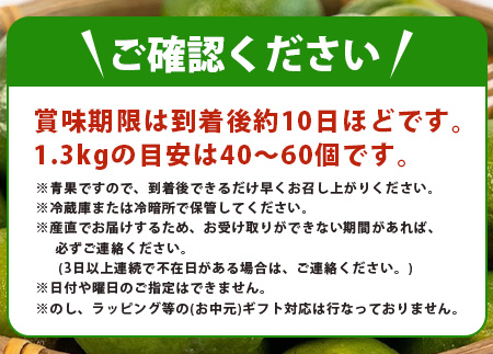 【先行予約】 ≪2026年8月以降順次発送≫こだわりの青切りシークワーサー 1.3kg 約40～60個 【 産地直送 沖縄 石垣島 石垣 八重山 シークワーサー 柑橘 フルーツ くだもの 果物 】TF-041 1.3kg 約40～60個