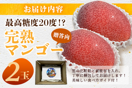 《2026年6月下旬～7月下旬発送》【先行予約】「マンゴー」最高糖度20度！？ 完熟の極！石垣島マンゴー 2玉約900g【贈答向け】【 沖縄 石垣島 石垣 八重山 マンゴー 完熟マンゴー 期間限定 数量限定 贈答 】TF-6-1_R8