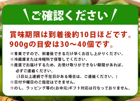 【先行予約】 ≪2026年8月以降順次発送≫こだわりの青切りシークワーサー 900g 約30～40個 【 産地直送 沖縄 石垣島 石垣 八重山 シークワーサー 柑橘 フルーツ くだもの 果物 】TF-007 900g 約30～40個