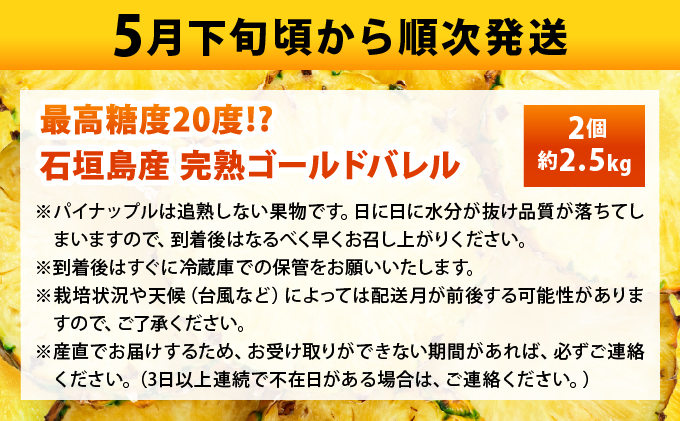 【先行予約2026年5月下旬ころから順次発送】最高糖度20度！？石垣島産完熟ゴールドバレル 2玉 約2.5kg