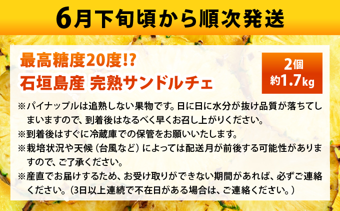 【先行予約2026年6月下旬頃から順次発送】最高糖度20度！？クリーミーな味わいが魅力の石垣島産完熟サンドルチェ 2個セット