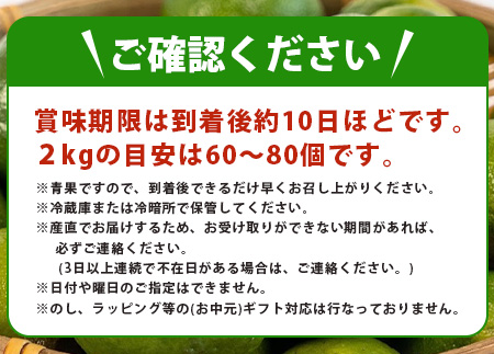 【先行予約】 ≪2026年8月以降順次発送≫こだわりの青切りシークワーサー 2kg 約60～80個 【 産地直送 沖縄 石垣島 石垣 八重山 シークワーサー 柑橘 フルーツ くだもの 果物 】TF-008 2kg 約60～80個