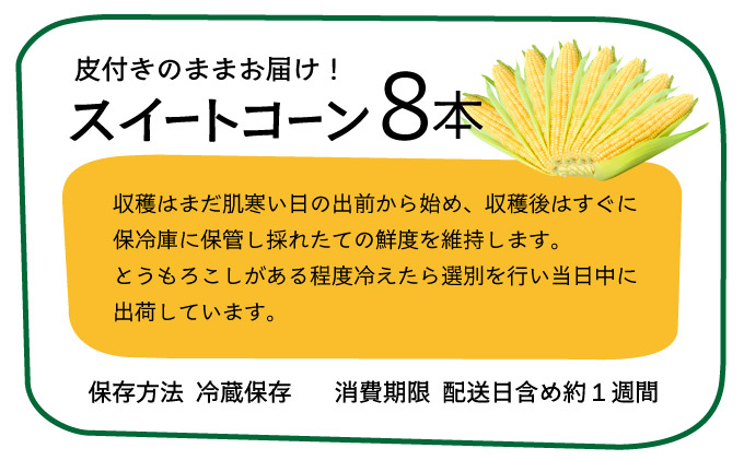 【先行予約2025年12月-2026年4月】 1番遅くて1番早い_ 朝採れプレミアムスイートコーンを皮付きのまま８本お届け！！
