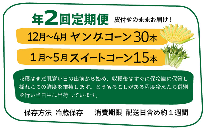 【先行予約2025年1月-5月配送】1番遅くて1番早い_ プレミアムヤングコーンとスイートコーンのよくばり定期便！！朝採れを皮付きのままお届け！！
