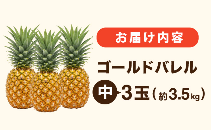 ≪5月上旬順次発送≫ ゴールドバレル 中 3玉（約3.5kg） TP-16