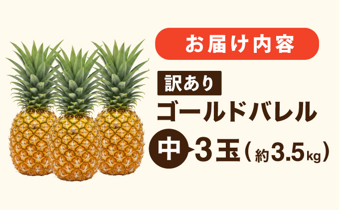 ≪5月上旬順次発送≫ 訳あり石垣島産パイナップル ゴールドバレル 中 3玉（約3.5kg） TP-19