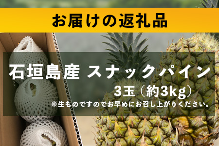 【先行予約】《2026年5月上旬頃より順次発送》石垣島産 スナックパイン (3玉 約3kg)【 産地直送 沖縄 石垣 パイナップル フルーツ 】TP-7-1 3玉（約3kg）