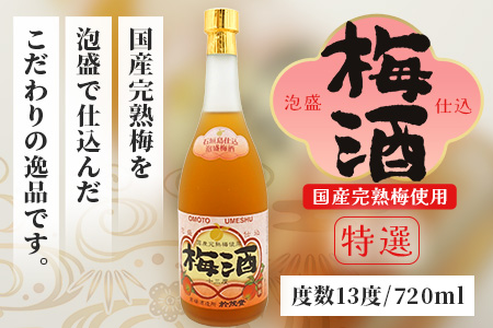 手造り於茂登の“琉球もろみ酢”＆おもと梅酒セット【 沖縄 石垣島 泡盛 もろみ 梅 酢 】TS-4