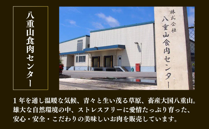 【2026年3月発送】石垣産経産牛ハンバーグ150g×6/箱 YC-08-03